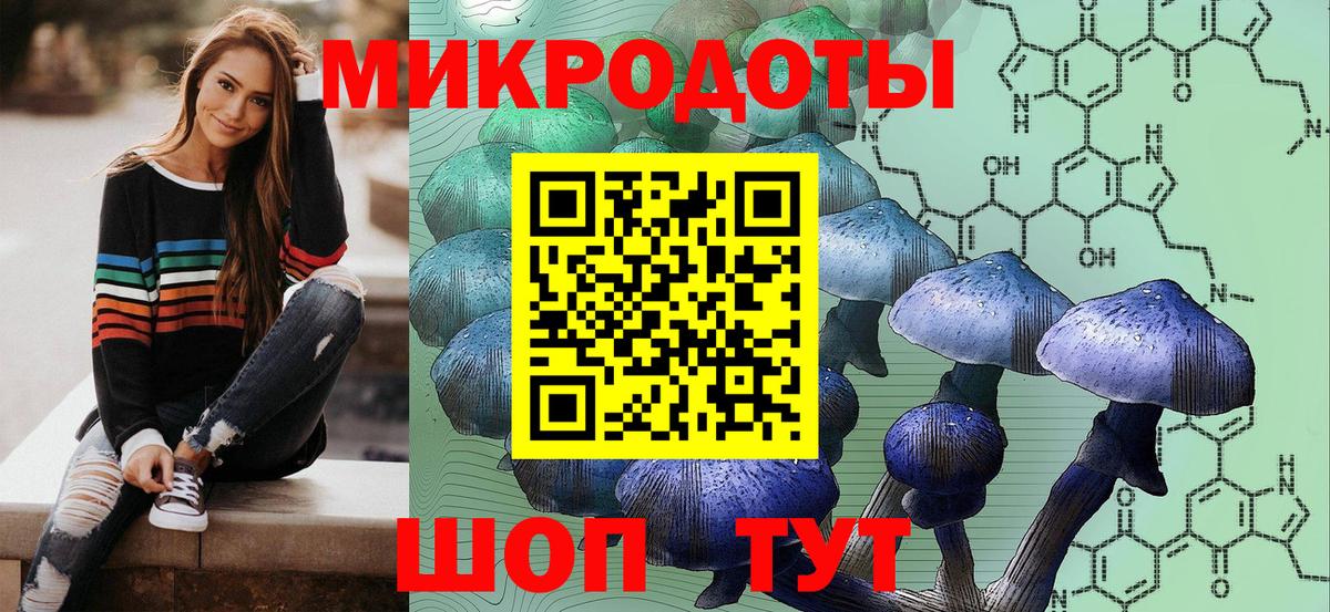 Галлюциногенные грибы MAGIC MUSHROOMS  Галлюциногенные грибы MAGIC MUSHROOMS  Вход с VPN  где купить   Знаменск 