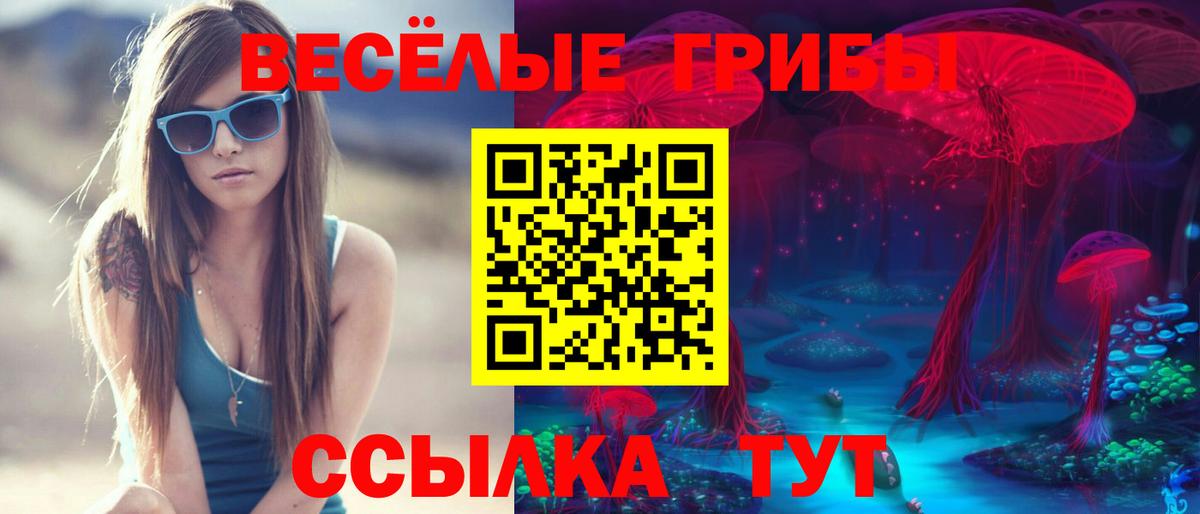 Галлюциногенные грибы мицелий Знаменск
